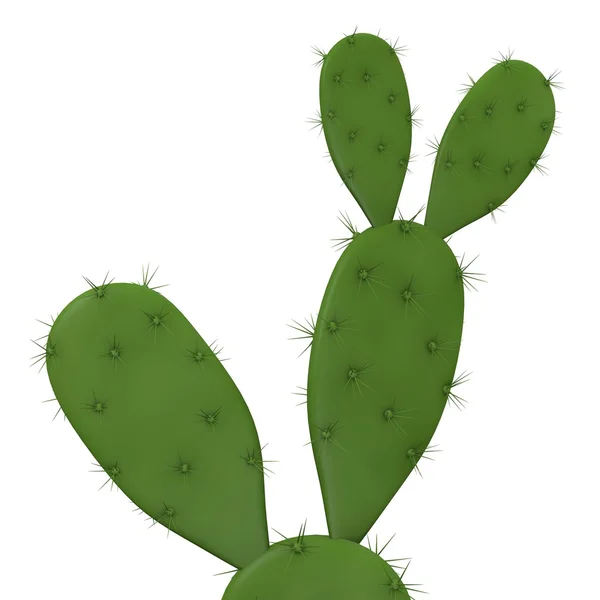 Rendering 3d del fiore di cactus — Foto Stock