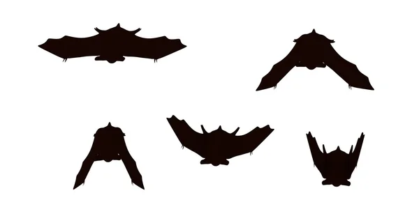 3d renderizado de murciélago de dibujos animados — Foto de Stock