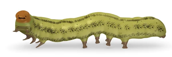 3D render caterpillar bugg — Stockfoto