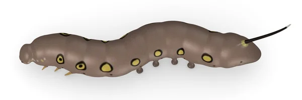 3D render van caterpillar bug — Stockfoto