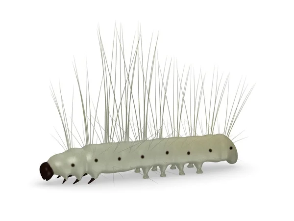 3d render of caterpillar bug — Stock Photo, Image
