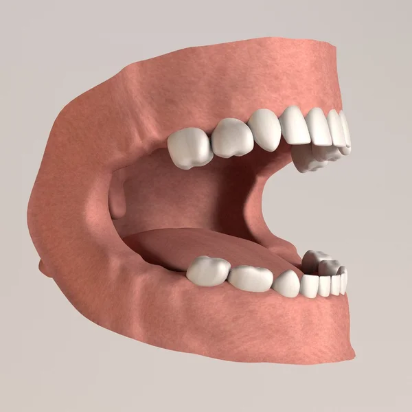 3D-Darstellung von Kinderzähnen — Stockfoto
