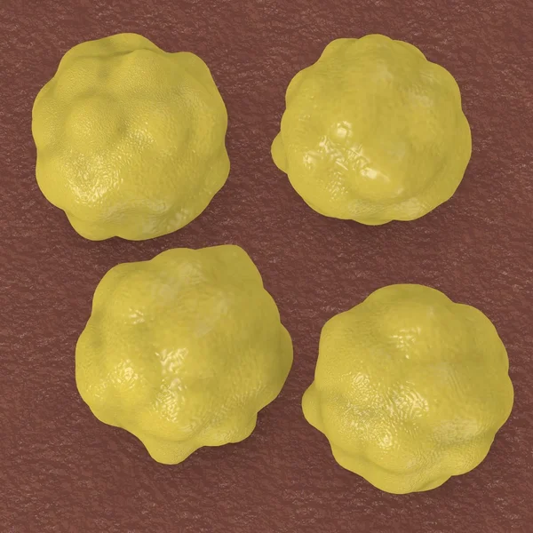 3D рендеринг клеток холестерина — стоковое фото