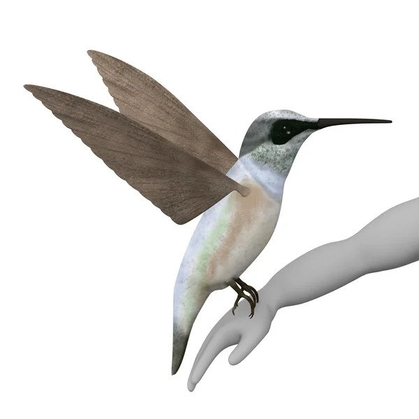3D renderowania postać z kreskówek z colibri — Zdjęcie stockowe