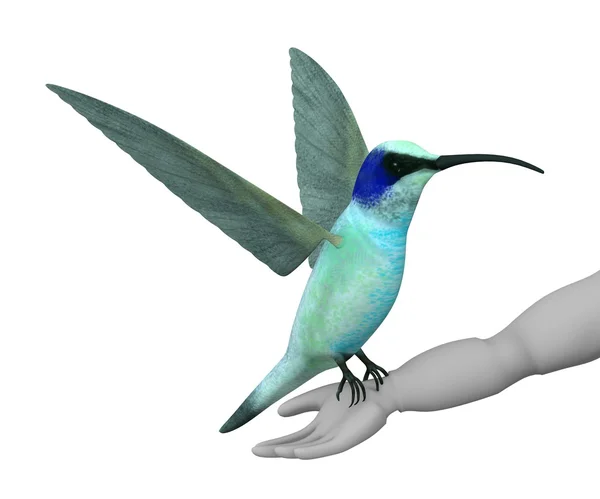 3d renderizado de personaje de dibujos animados con colibri —  Fotos de Stock