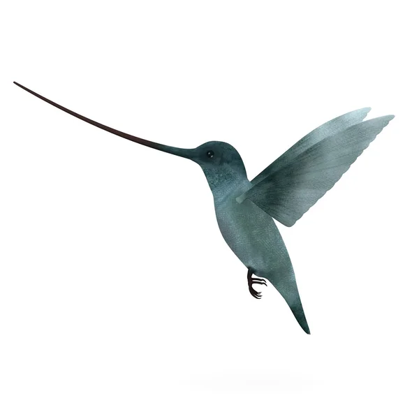 コリブリ鳥の 3 d レンダリング — ストック写真