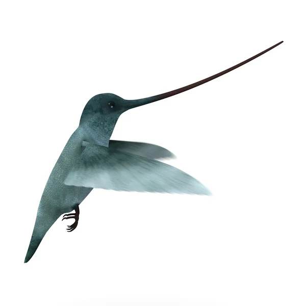 3d renderização de pássaro colibri — Fotografia de Stock