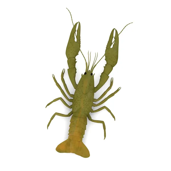 3d renderizado de animales de crustáceos — Foto de Stock
