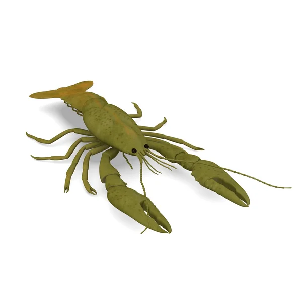 3d render of crustacean animal — Stock Photo, Image