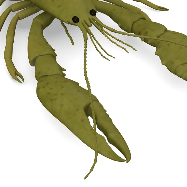 3d renderizado de animales de crustáceos — Foto de Stock