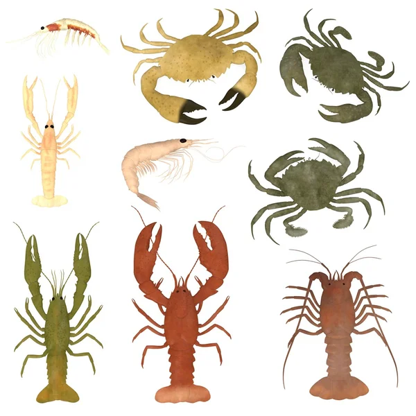 3d render of crustacean animals — Stock Photo, Image