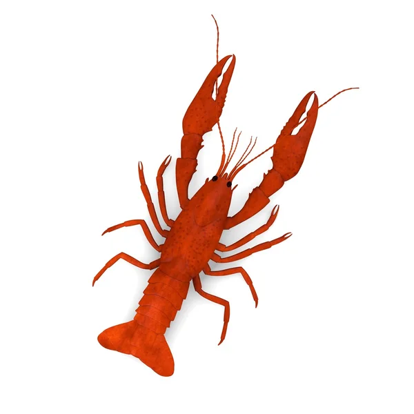 3d renderizado de cangrejos de río muertos —  Fotos de Stock