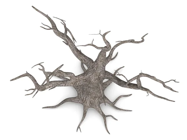 죽은 나무의 3d 렌더링 — 스톡 사진