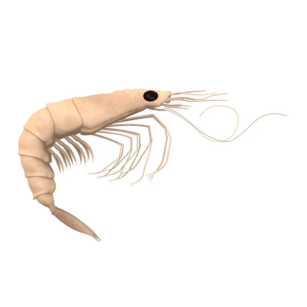 3d render of crustacean animal — Stock Photo, Image