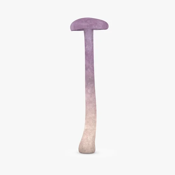3d render of laccaria amethystina — Stock Photo, Image