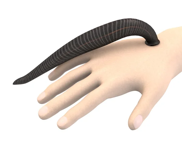 3d render of hand with leech — Stock Photo, Image