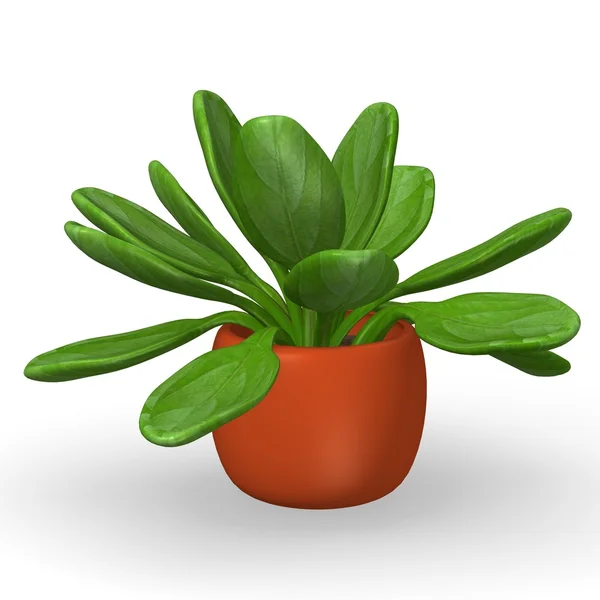 3D render av Växtstubbar thyrisflora — Stockfoto