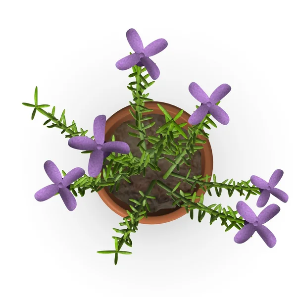 3d renderizado de flor de lavendula —  Fotos de Stock