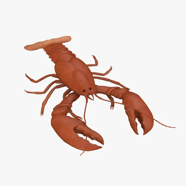 龙虾 (甲壳动物的 3d 渲染) — 图库照片