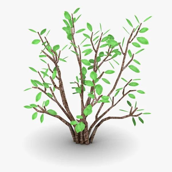 3d renderização de árvore simples — Fotografia de Stock