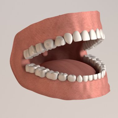 3d render of human teeth with white fillings clipart