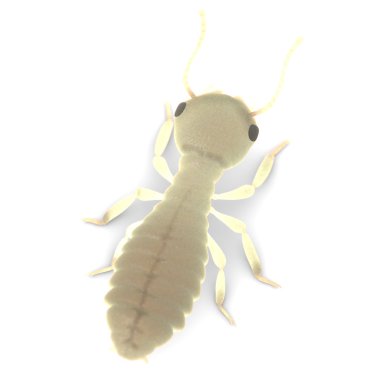 termit larva 3D render