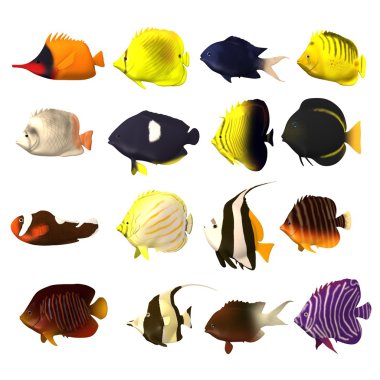 3d render of tropical fishes