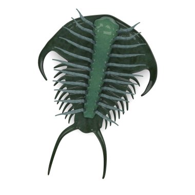 3D render trilobite hayvan