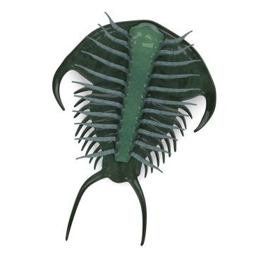 3d render of trilobite animal clipart