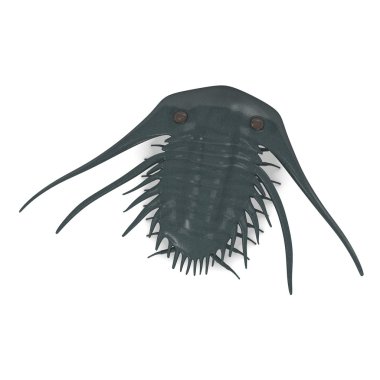 3D render trilobite hayvan