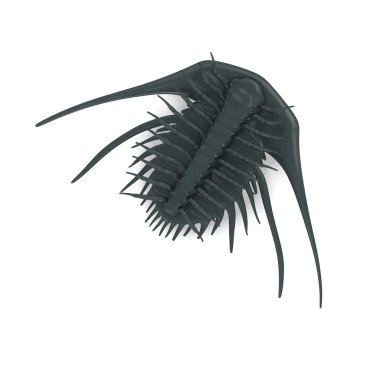 3D render trilobite hayvan