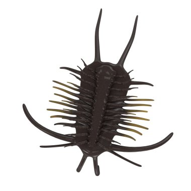 3D render trilobite hayvan