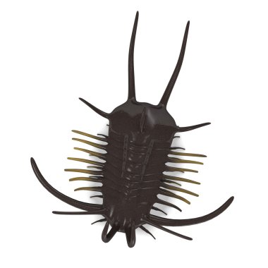 3D render trilobite hayvan