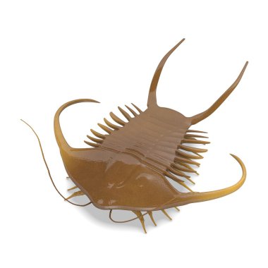 3D render trilobite hayvan