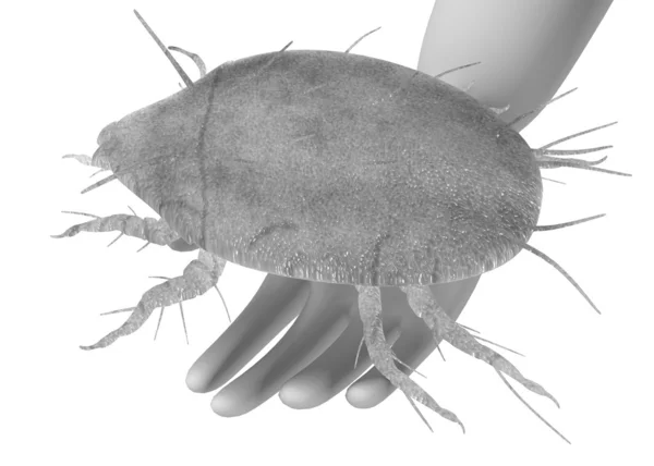 3d renderizado de personaje de dibujos animados con insecto ácaro —  Fotos de Stock