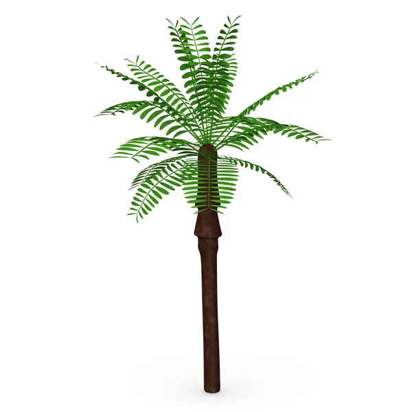 3d renderização de palma do deserto — Fotografia de Stock