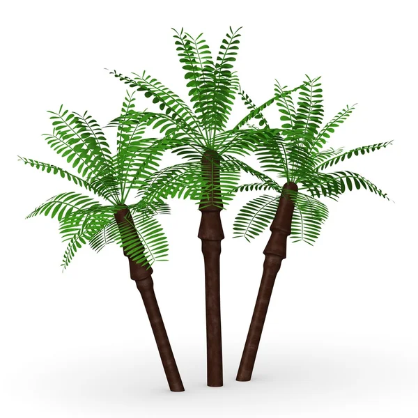 3d render of desert palm — Stock Photo, Image