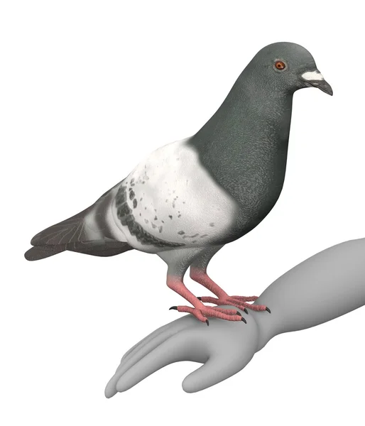3d render of cartoon character with pigeon — Stock Photo, Image