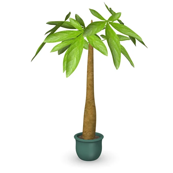 3D render egyszerű növény — Stock Fotó