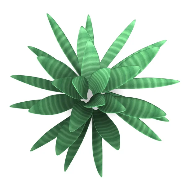 3D renderowania proste roślina — Zdjęcie stockowe