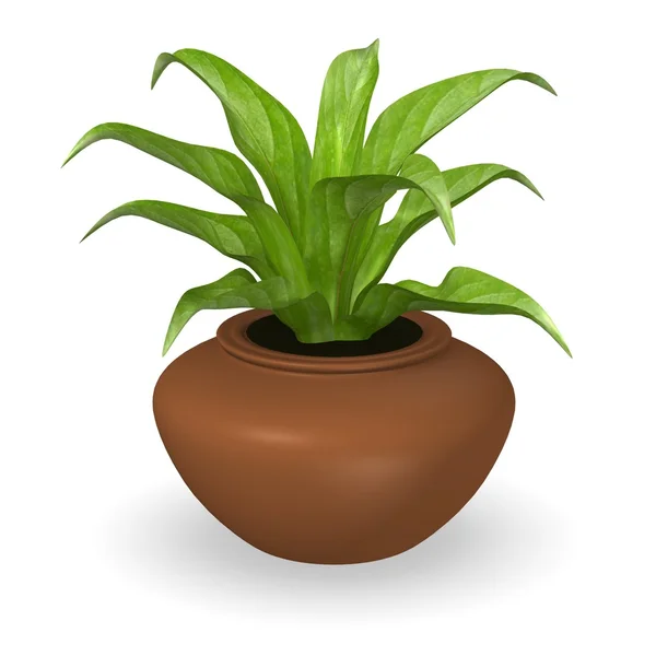 3D činí z jednoduchých rostlin — Stock fotografie
