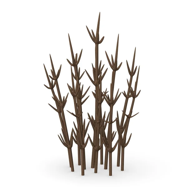 3D Darstellung der einfachen Pflanze — Stockfoto