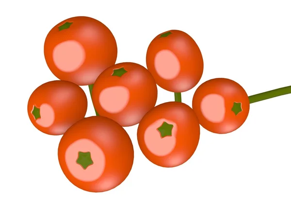 3d renderização de rowan berry — Fotografia de Stock