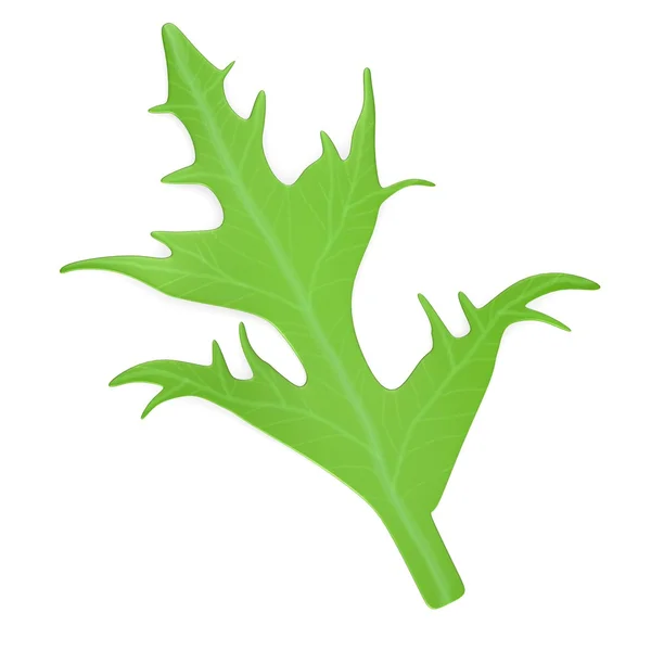 3D-Darstellung von Salatgemüse — Stockfoto