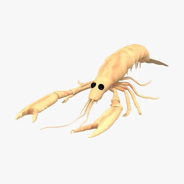 3d render of scampi animal — Stock Photo, Image