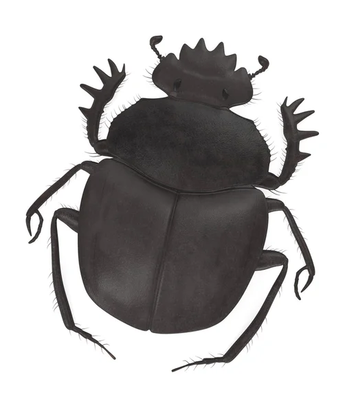 Representación 3d del tifón escarabajo — Foto de Stock