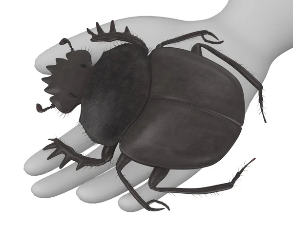 Renderização 3d de personagem de desenho animado com typhon scarabeus — Fotografia de Stock