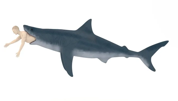 3D рендеринг искусственного характера, съеденного акулой — стоковое фото