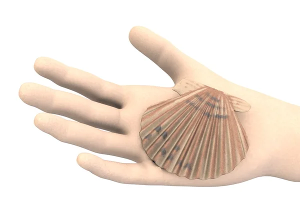3D-Darstellung der Hand mit Schale — Stockfoto