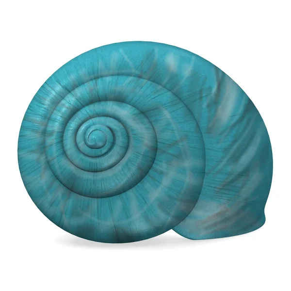 stock image 3d render of sea shell